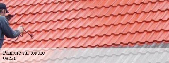 Peinture sur toiture  hannogne-saint-remy-08220 DH Tout travaux toiture