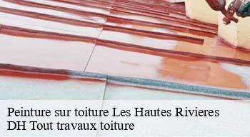 Peinture sur toiture  08800