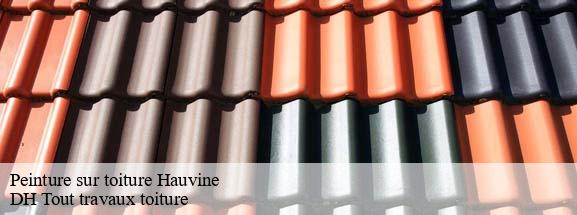 Peinture sur toiture  08310