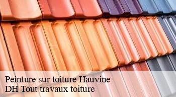 Peinture sur toiture  08310