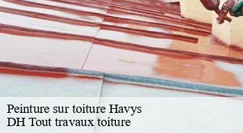 Peinture sur toiture  08260