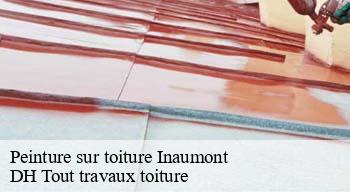 Peinture sur toiture  08300