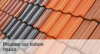 Peinture sur toiture  08440