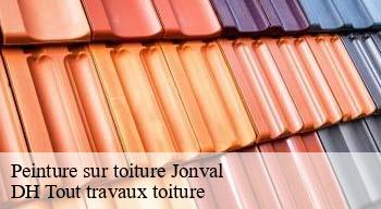 Peinture sur toiture  08130