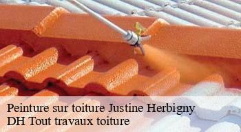 Peinture sur toiture  08270