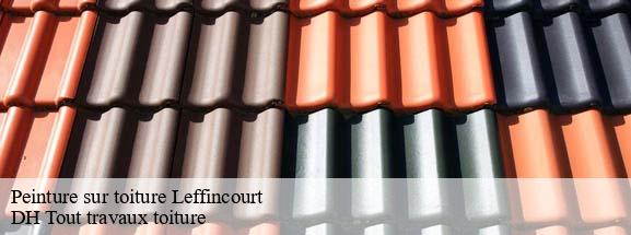 Peinture sur toiture  08310