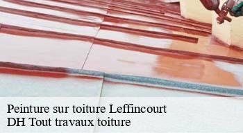 Peinture sur toiture  08310