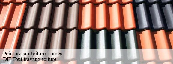 Peinture sur toiture  08440