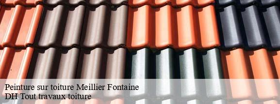 Peinture sur toiture  08700