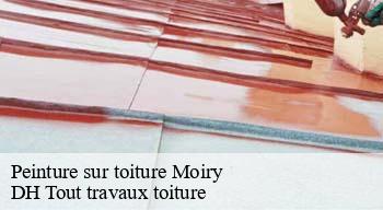 Peinture sur toiture 08370