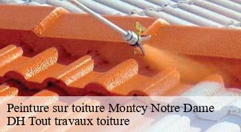 Peinture sur toiture 08090