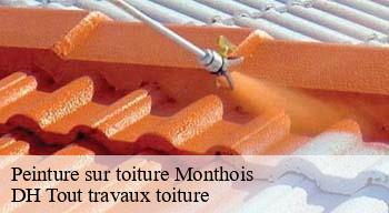 Peinture sur toiture  08400