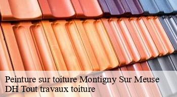 Peinture sur toiture  08170