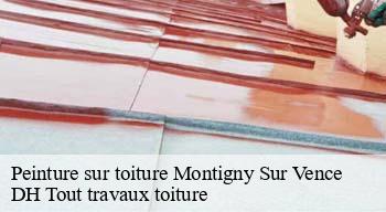 Peinture sur toiture  08430