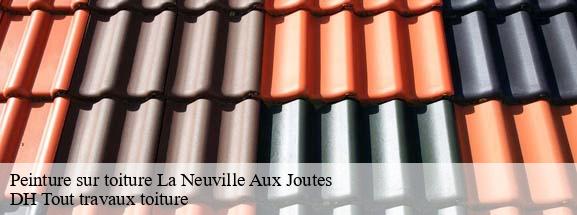 Peinture sur toiture  08380