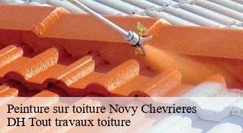 Peinture sur toiture  08300