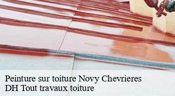 Peinture sur toiture  08300