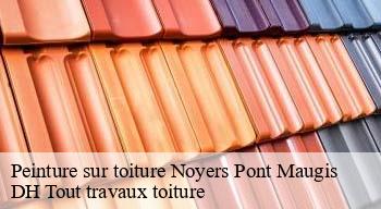 Peinture sur toiture  08350