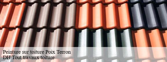 Peinture sur toiture  08430