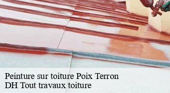 Peinture sur toiture  08430