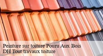 Peinture sur toiture  08140