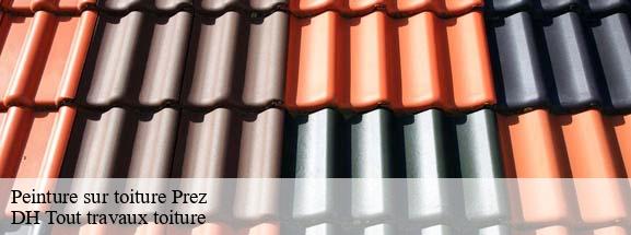 Peinture sur toiture  08290