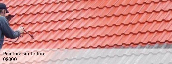 Peinture sur toiture  prix-les-mezieres-08000 DH Tout travaux toiture