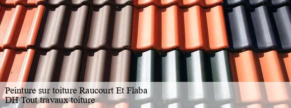 Peinture sur toiture  08450