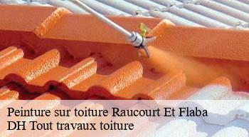 Peinture sur toiture  08450