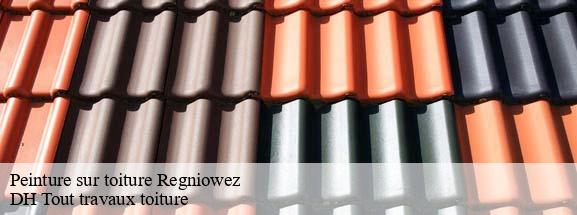 Peinture sur toiture 08230