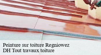 Peinture sur toiture 08230