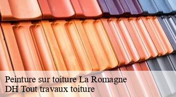 Peinture sur toiture  08220