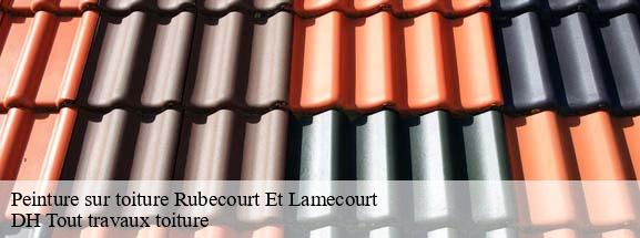 Peinture sur toiture  08140