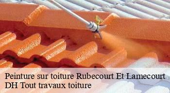 Peinture sur toiture  08140