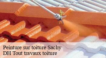 Peinture sur toiture  08110