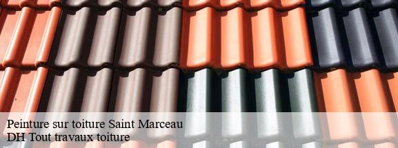 Peinture sur toiture  08160