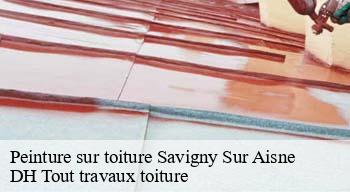 Peinture sur toiture  08400