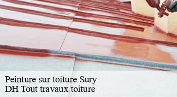 Peinture sur toiture 08090