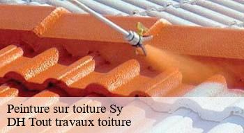 Peinture sur toiture 08390