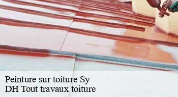 Peinture sur toiture 08390