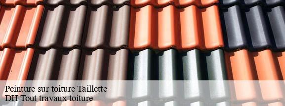 Peinture sur toiture  08230