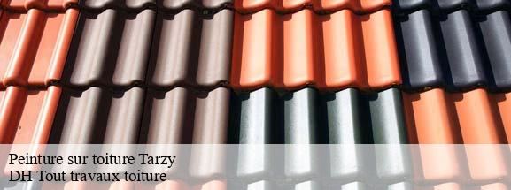 Peinture sur toiture  08380