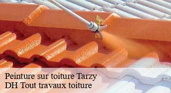 Peinture sur toiture  08380