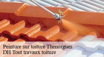 Peinture sur toiture 08240