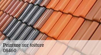 Peinture sur toiture  08460
