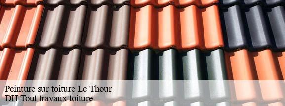 Peinture sur toiture  08190