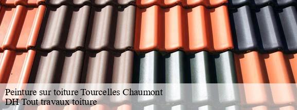 Peinture sur toiture  08400