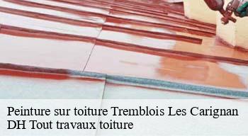 Peinture sur toiture  08110