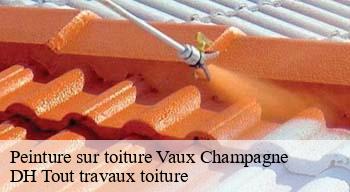 Peinture sur toiture 08130