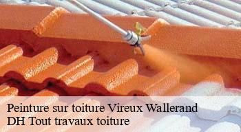 Peinture sur toiture  08320